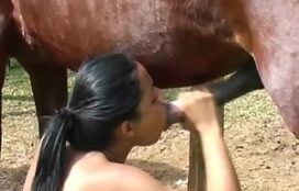 Moreninha faz boquete guloso no cavalo