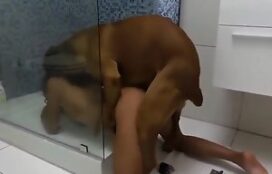 Cachorro grande fodendo sua dona no banheiro