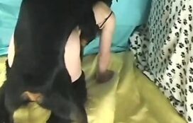 Cão enorme encaçapando a pica na buceta da dona
