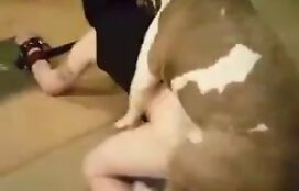 Cão Pitbull fodendo branquinha ninfomaniaca