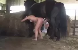 Videos de sexo entre mulheres e cavalos