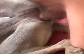 Homem faz primeiro porno comendo cadelas