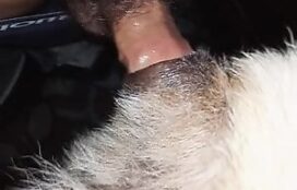 Homem faz videozinho fodendo cadela