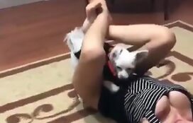 Mulher casada fodendo com pequeno cachorro no chão
