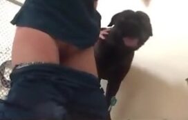Mulher faz video porno caseiro com cachorro