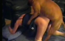 Mulher sexy dando pro cão da raça boxe