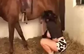 Mulher tesuda praticando primeira zoo com cavalo