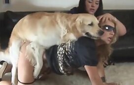 Mulheres safadas fodendo com cachorro forte