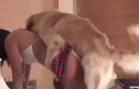 Novinha de lingerie trepando com cachorro