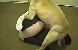 Novinha de mini saia transando com cachorro