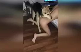 Novinha faz sexo com cão vira lata