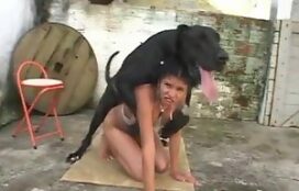 Novinha fodendo com cachorro em lote vago