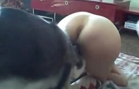 Novinha fodendo com cão Husk