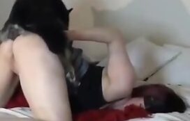 Sexo na cama de casal com meu cachorro