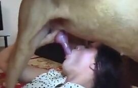 Video amador de jovem garota engolindo semem de cachorro
